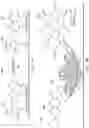Fig. 05 - Fluorescence based extracellular enzyme activity assay for early detection of biofouling in seawater desalination systems