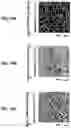 Fig. 11 - Multifocal photoacoustic microscopy through an ergodic relay