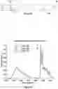 Fig. 22 - Infra-red spectroscopy system