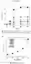 Fig. 07 - Plasmo photoelectronic immunosensor