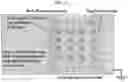 Fig. 16 - Plasmo photoelectronic immunosensor