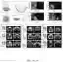 Fig. 09 - Articles and methods for generation of tunable coloration and interference