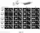 Fig. 16 - Articles and methods for generation of tunable coloration and interference