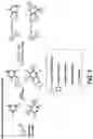 Fig. 02 - COLORIMETRIC SENSORS AND METHODS OF USING COLORIMETRIC SENSORS