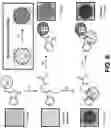 Fig. 09 - COLORIMETRIC SENSORS AND METHODS OF USING COLORIMETRIC SENSORS