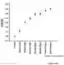 Fig. 08 - Electrical gas detector comprising an arene-functionalized nanowire