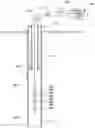Fig. 01 - REDUCTION OF CORE RESPONSE DEPENDENCE ON RADIUS OF FIRST PIPE IN CORROSION DETECTION TOOLS