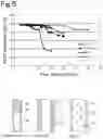 Fig. 05 - Gas-liquid separator and super-critical fluid device