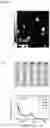 Fig. 06 - Aluminum ion detector, method of manufacturing the same, and aluminum ion detection method using the same