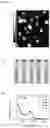 Fig. 08 - Aluminum ion detector, method of manufacturing the same, and aluminum ion detection method using the same