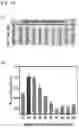 Fig. 12 - Aluminum ion detector, method of manufacturing the same, and aluminum ion detection method using the same