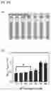 Fig. 17 - Aluminum ion detector, method of manufacturing the same, and aluminum ion detection method using the same
