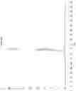 Fig. 19 - Abaloparatide formulations and methods of testing, storing, modifying, and using same