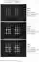 Fig. 06 - ASSAY FOR C5B-9 DEPOSITION IN COMPLEMENT-ASSOCIATED DISORDERS
