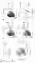 Fig. 06 - Single-cell imaging mass spectrometry