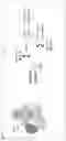 Fig. 09 - Single-cell imaging mass spectrometry