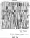Fig. 08 - Methods related to bronchial premalignant lesion severity and progression
