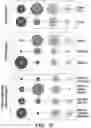 Fig. 10 - Methods related to bronchial premalignant lesion severity and progression