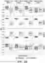 Fig. 13 - Methods related to bronchial premalignant lesion severity and progression
