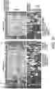 Fig. 16 - Methods related to bronchial premalignant lesion severity and progression