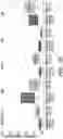 Fig. 18 - Methods related to bronchial premalignant lesion severity and progression