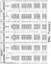 Fig. 25 - Methods related to bronchial premalignant lesion severity and progression