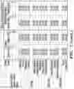 Fig. 26 - Methods related to bronchial premalignant lesion severity and progression