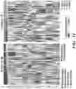 Fig. 34 - Methods related to bronchial premalignant lesion severity and progression