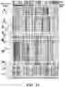 Fig. 40 - Methods related to bronchial premalignant lesion severity and progression