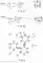 Fig. 02 - METHOD OF DETECTING OR QUANTIFYING DETECTION TARGET IN SPECIMEN, METHOD OF AGITATING REACTION MIXTURE, METHOD OF CAUSING FLOW OF LIQUID MEDIUM, ADDITIVE, REAGENT, AND AUTOMATIC ANALYZING APPARATUS