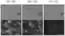 Fig. 13 - Systems and methods for cyclic fluorescence imaging