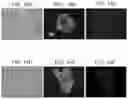 Fig. 15 - Systems and methods for cyclic fluorescence imaging