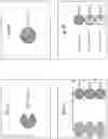 Fig. 04 - Detection, identification, and purification of degradative and non-degradative enzymes in biological samples