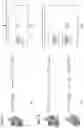 Fig. 10 - Detection, identification, and purification of degradative and non-degradative enzymes in biological samples