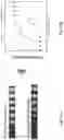 Fig. 17 - Detection, identification, and purification of degradative and non-degradative enzymes in biological samples