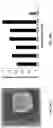 Fig. 20 - Detection, identification, and purification of degradative and non-degradative enzymes in biological samples