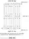 Fig. 10 - Methods for de novo protein sequencing