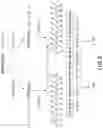 Fig. 11 - Methods for de novo protein sequencing