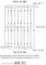 Fig. 14 - Methods for de novo protein sequencing