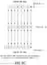Fig. 18 - Methods for de novo protein sequencing