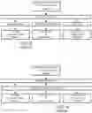 Fig. 05 - METHODS AND APPARATUS FOR DETECTION OF GLUTEN SENSITIVITY, AND ITS DIFFERENTIATION FROM CELIAC DISEASE
