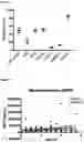 Fig. 06 - SEROLOGIC ASSAY FOR SILENT BRAIN ISCHEMIA