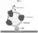 Fig. 02 - METHOD OF MEASURING CHOLESTEROL LEVELS BY USING IMMUNOGENIC METHOD
