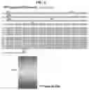 Fig. 09 - METHOD OF MEASURING CHOLESTEROL LEVELS BY USING IMMUNOGENIC METHOD