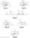 Fig. 06 - Method for separating spectrums of an input signal as well as measurement devices for separating spectrums