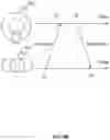 Fig. 09 - Systems and methods for signal synchronization in MRI device