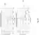 Fig. 11 - Spectral gamma ray downhole logging tool