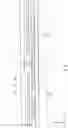 Fig. 09 - Light emitting unit, display, and lighting apparatus