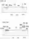 Fig. 07 - Method for manufacturing light emitting module