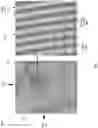 Fig. 09 - Method and system for two-dimensional mode-matching grating couplers
